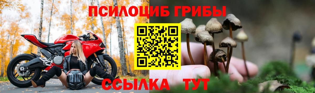 Псилоцибиновые грибы мицелий Ачхой-Мартан