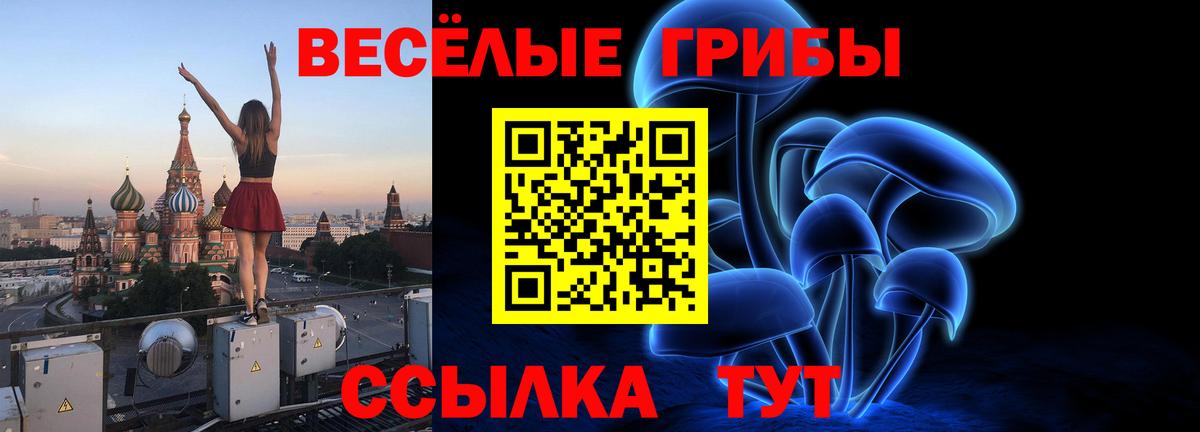 Псилоцибиновые грибы мицелий  Вход с VPN  Ачхой-Мартан  Галлюциногенные грибы GOLDEN TEACHER 